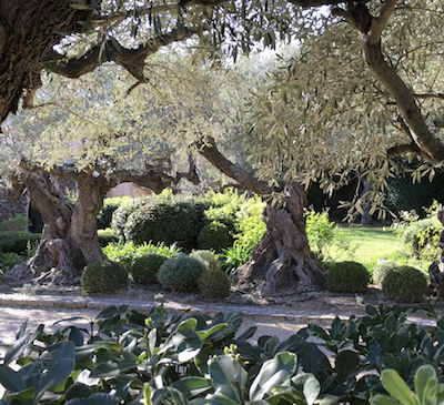 decoration jardin saint tropez